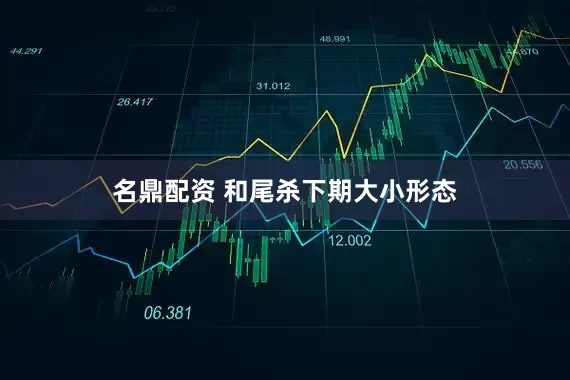 名鼎配资 和尾杀下期大小形态