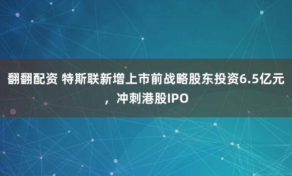 翻翻配资 特斯联新增上市前战略股东投资6.5亿元，冲刺港股IPO