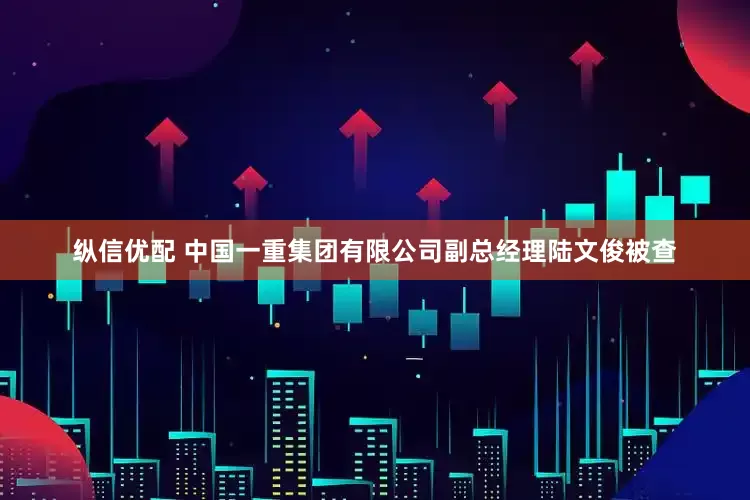 纵信优配 中国一重集团有限公司副总经理陆文俊被查