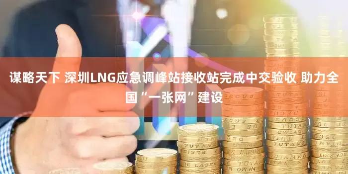 谋略天下 深圳LNG应急调峰站接收站完成中交验收 助力全国“一张网”建设